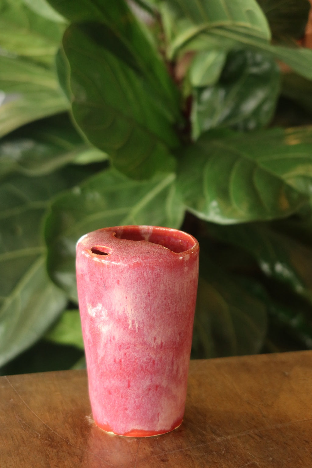 Raspberry Glaze Travel Tumbler